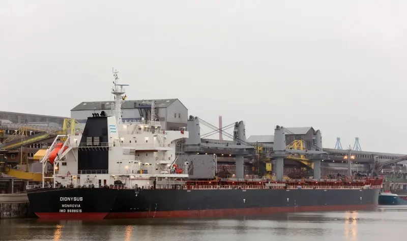 DIONYSUS Bulk Carrier IMO 9696515 photo 3