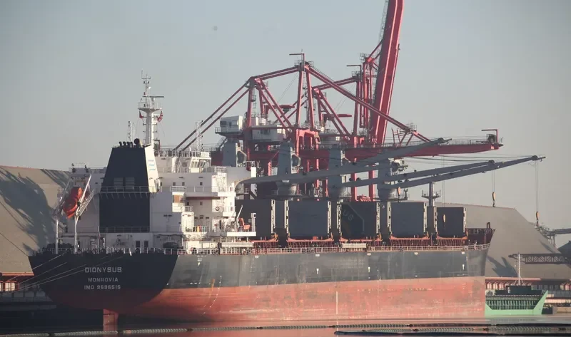 DIONYSUS Bulk Carrier IMO 9696515 photo 4