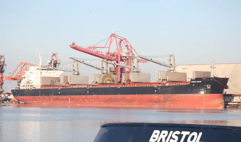 DIONYSUS Bulk Carrier IMO 9696515 photo 5