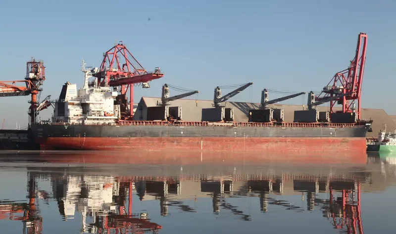 DIONYSUS Bulk Carrier IMO 9696515 photo 6
