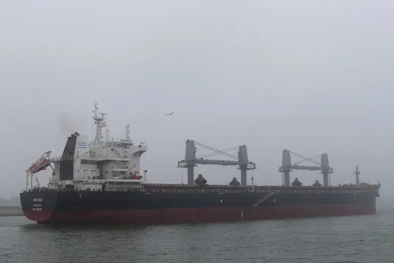 DIONYSUS Bulk Carrier IMO 9696515 photo 7