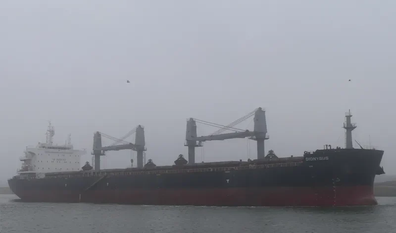 DIONYSUS Bulk Carrier IMO 9696515 photo 8