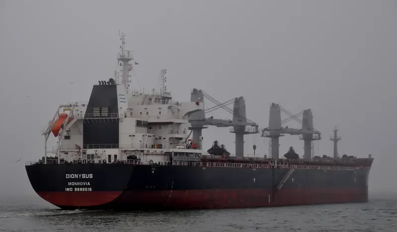 DIONYSUS Bulk Carrier IMO 9696515 photo 9