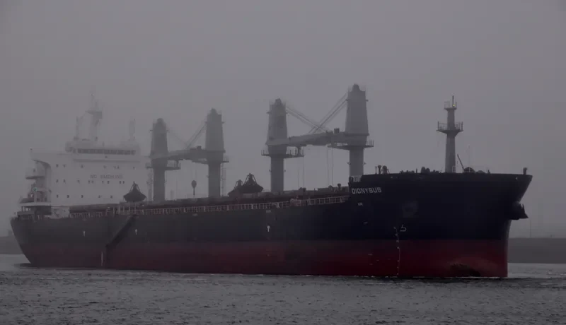DIONYSUS Bulk Carrier IMO 9696515 photo 10