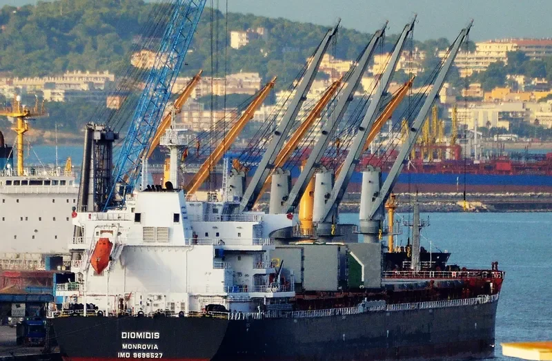 DIOMIDIS Bulk Carrier IMO 9696527