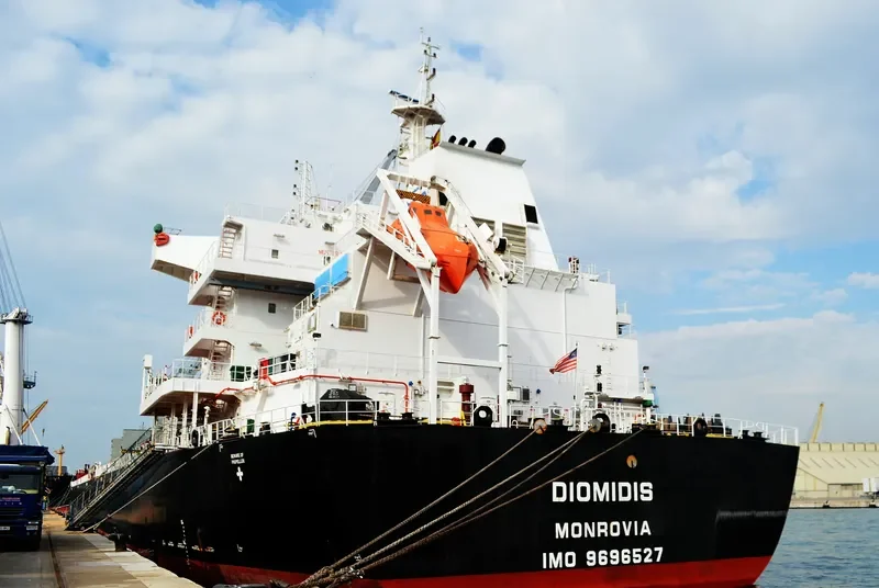 DIOMIDIS Bulk Carrier IMO 9696527 photo 2