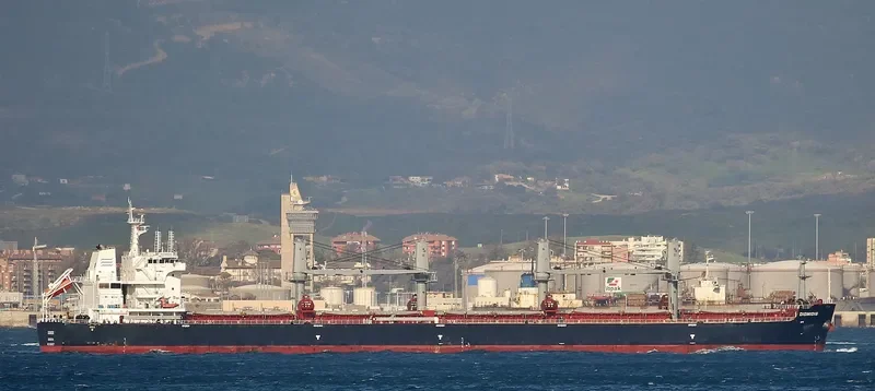 DIOMIDIS Bulk Carrier IMO 9696527 photo 3