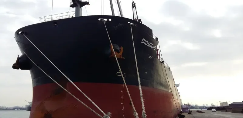 DIOMIDIS Bulk Carrier IMO 9696527 photo 4