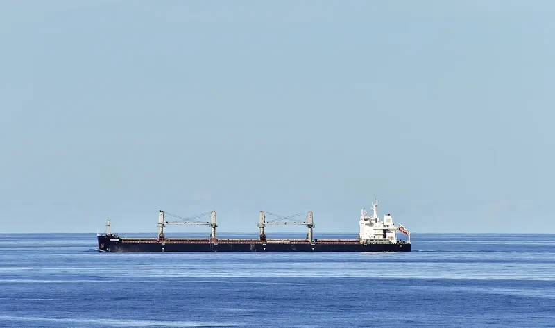 DIOMIDIS Bulk Carrier IMO 9696527 photo 6