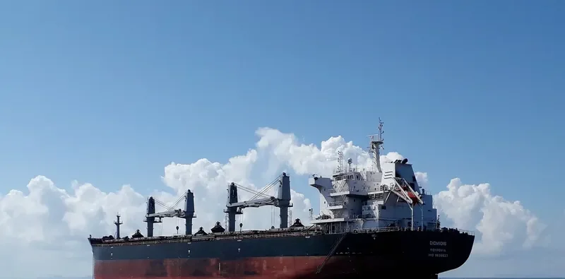 DIOMIDIS Bulk Carrier IMO 9696527 photo 8