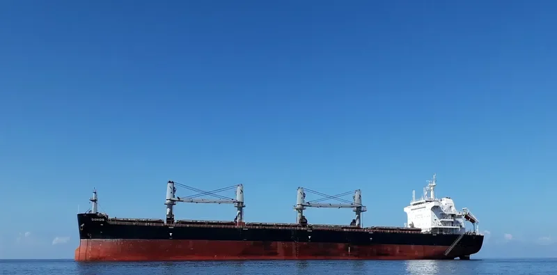 DIOMIDIS Bulk Carrier IMO 9696527 photo 9