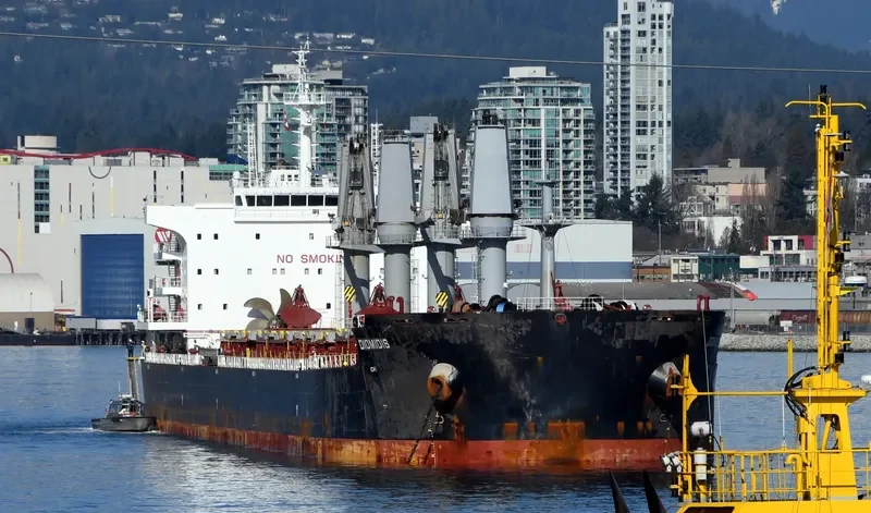 DIOMIDIS Bulk Carrier IMO 9696527 photo 10