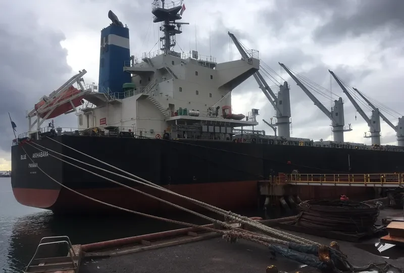 BLUE AKIHABARA Bulk Carrier IMO 9696785