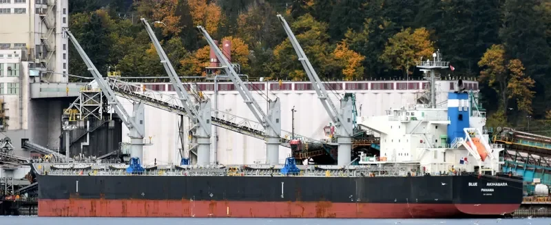 BLUE AKIHABARA Bulk Carrier IMO 9696785 photo 2