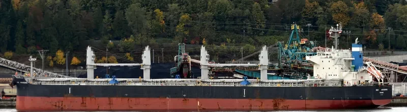 BLUE AKIHABARA Bulk Carrier IMO 9696785 photo 3