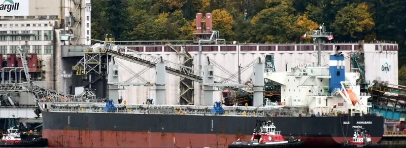BLUE AKIHABARA Bulk Carrier IMO 9696785 photo 4