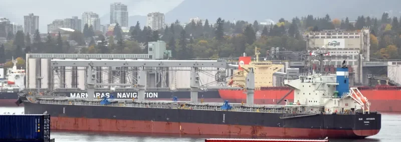 BLUE AKIHABARA Bulk Carrier IMO 9696785 photo 5