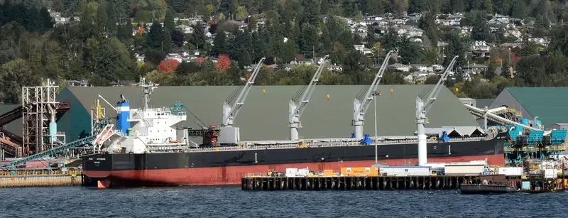 BLUE AKIHABARA Bulk Carrier IMO 9696785 photo 6