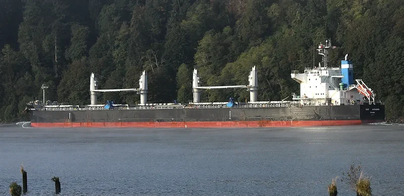 BLUE AKIHABARA Bulk Carrier IMO 9696785 photo 7