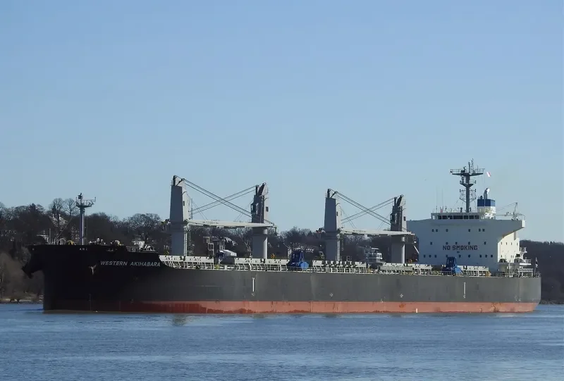 BLUE AKIHABARA Bulk Carrier IMO 9696785 photo 10