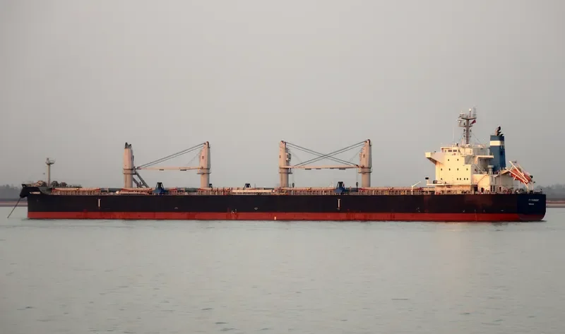 MI HARMONY Bulk Carrier IMO 9696797 photo 2
