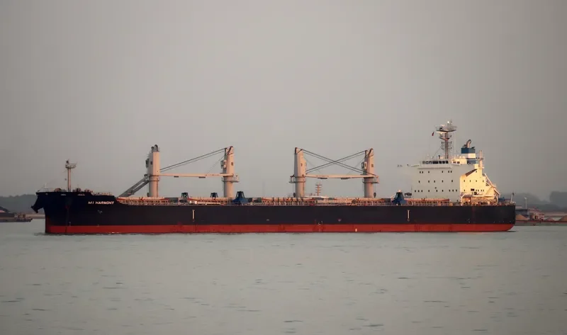 MI HARMONY Bulk Carrier IMO 9696797 photo 3