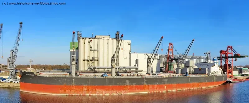 MI HARMONY Bulk Carrier IMO 9696797 photo 5