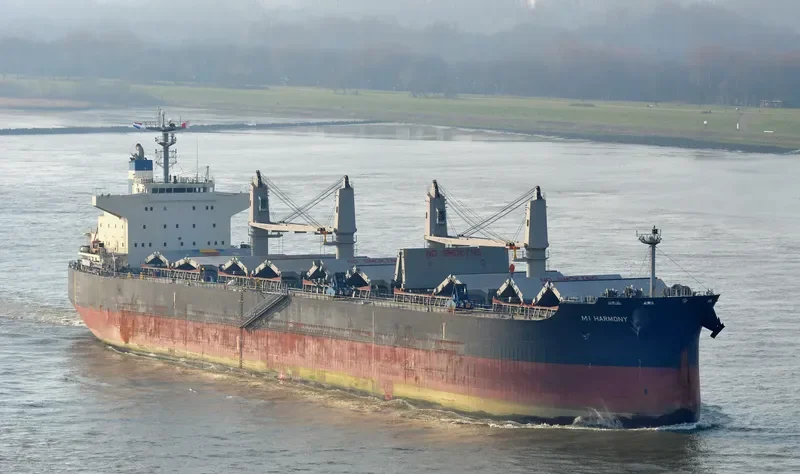 MI HARMONY Bulk Carrier IMO 9696797 photo 9