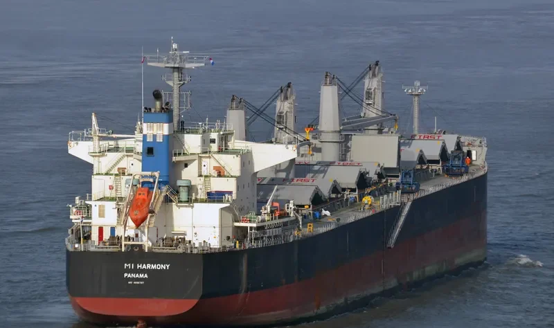 MI HARMONY Bulk Carrier IMO 9696797 photo 10