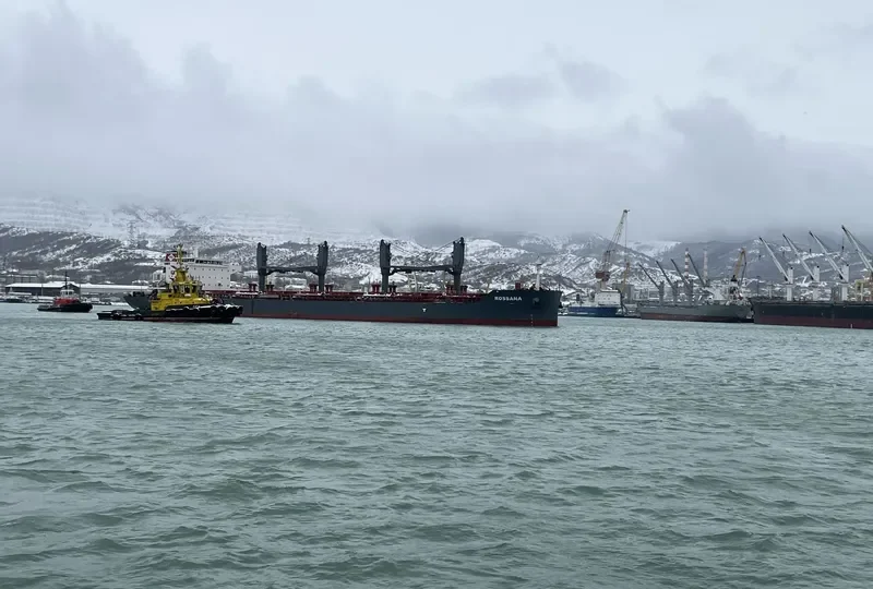 ROSSANA Bulk Carrier IMO 9696838 photo 6