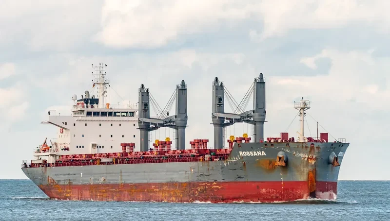 ROSSANA Bulk Carrier IMO 9696838 photo 8