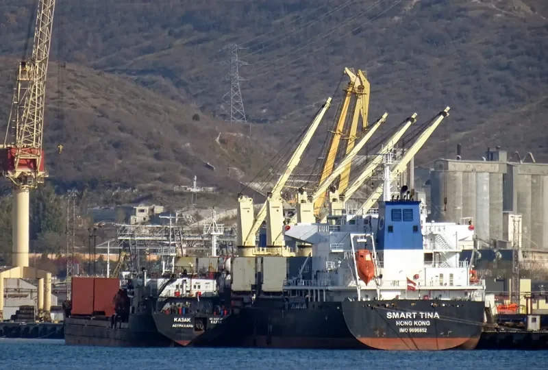 SMART TINA Bulk Carrier IMO 9696852