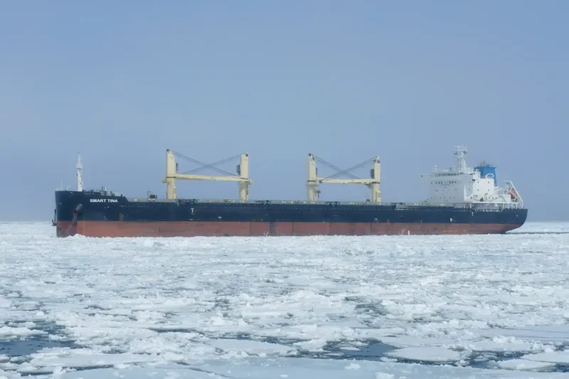 SMART TINA Bulk Carrier IMO 9696852 photo 5