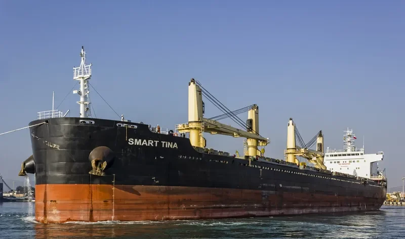SMART TINA Bulk Carrier IMO 9696852 photo 6