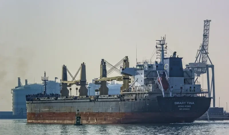 SMART TINA Bulk Carrier IMO 9696852 photo 8