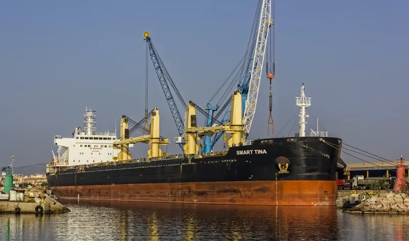 SMART TINA Bulk Carrier IMO 9696852 photo 9