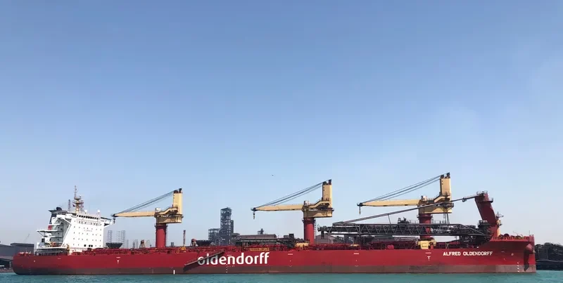 ALFRED OLDENDORFF Bulk Carrier IMO 9696905 photo 2