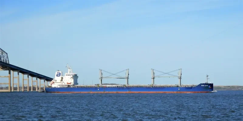 TRUE LOVE Bulk Carrier IMO 9697143