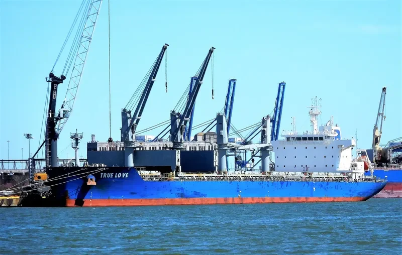 TRUE LOVE Bulk Carrier IMO 9697143 photo 2