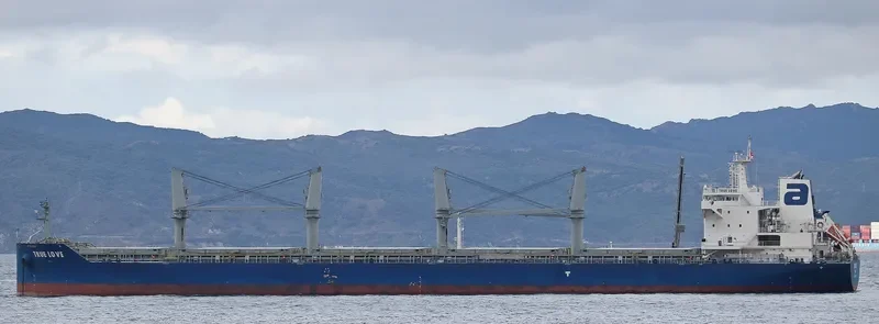 TRUE LOVE Bulk Carrier IMO 9697143 photo 3