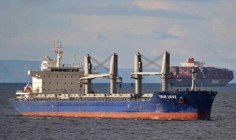 TRUE LOVE Bulk Carrier IMO 9697143 photo 4