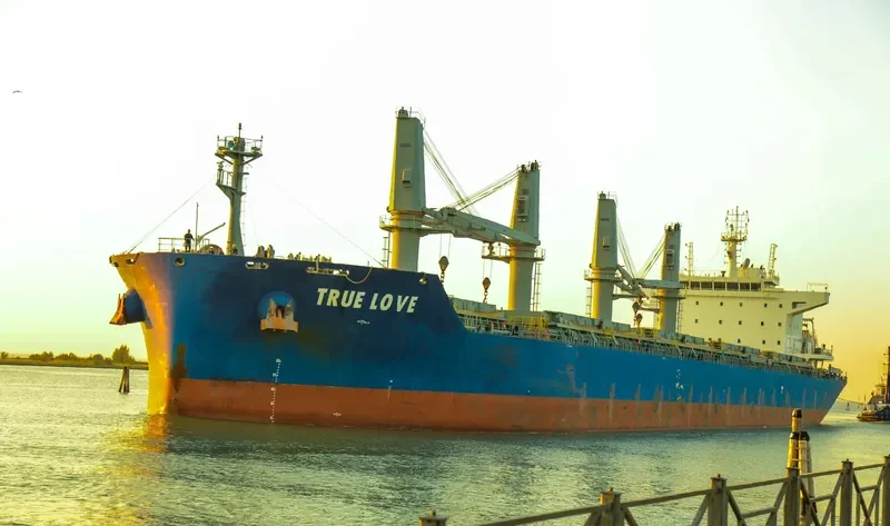 TRUE LOVE Bulk Carrier IMO 9697143 photo 5