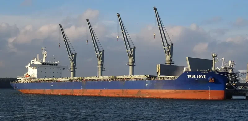 TRUE LOVE Bulk Carrier IMO 9697143 photo 6