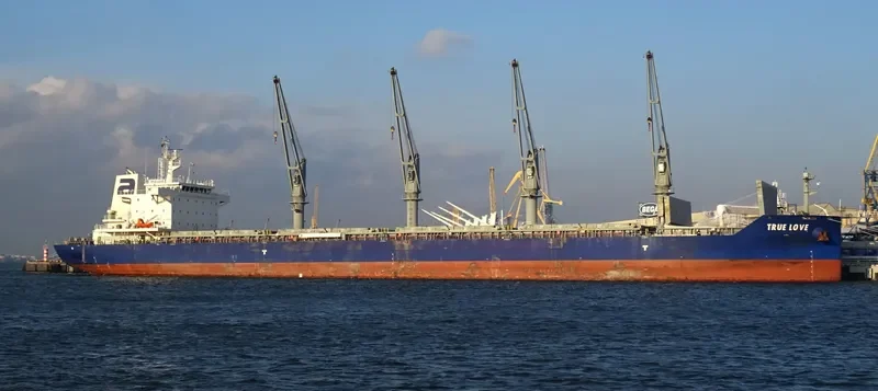 TRUE LOVE Bulk Carrier IMO 9697143 photo 7