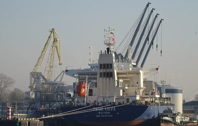 TRUE LOVE Bulk Carrier IMO 9697143 photo 8