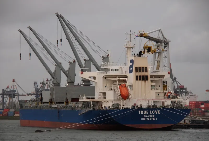 TRUE LOVE Bulk Carrier IMO 9697143 photo 9