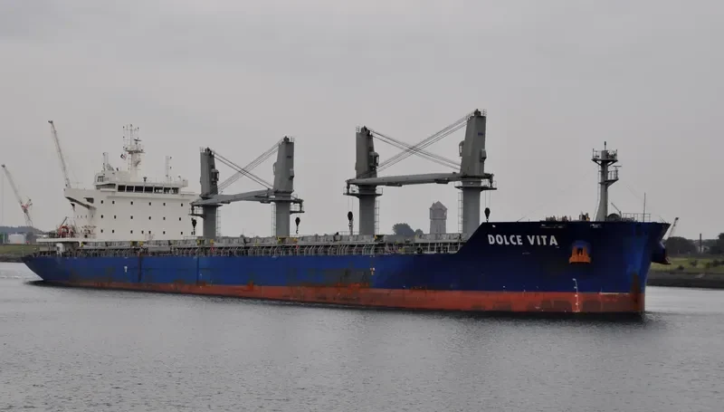DOLCE VITA Bulk Carrier IMO 9697155 photo 3