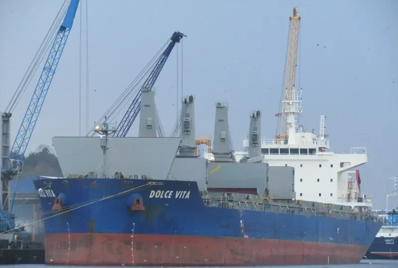 DOLCE VITA Bulk Carrier IMO 9697155 photo 4
