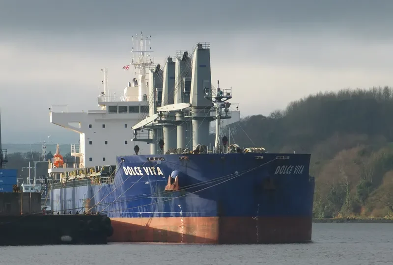 DOLCE VITA Bulk Carrier IMO 9697155 photo 5