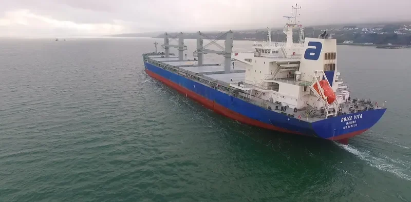 DOLCE VITA Bulk Carrier IMO 9697155 photo 7